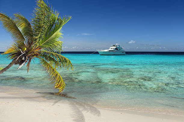 Beautiful white beach, palmtree and a boat stock photo