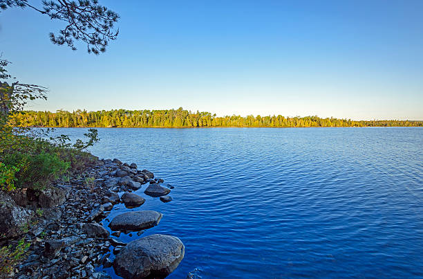 istock Early Morning Light in Canoe  Country 457373937
