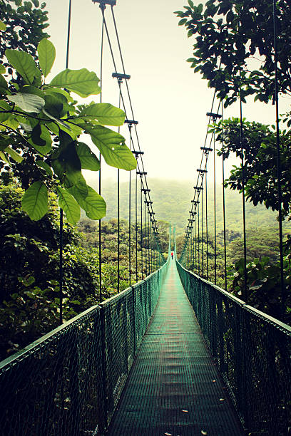 istock Suspension Bridge in Rainforest Costa Rica 457374995