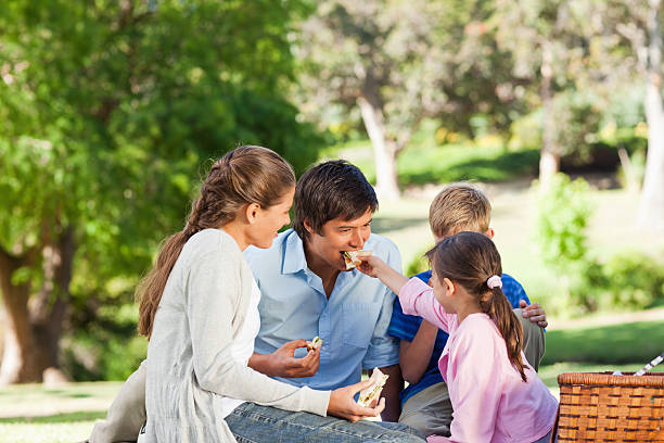 istock Young girl feeding her father at a picnic 457380197