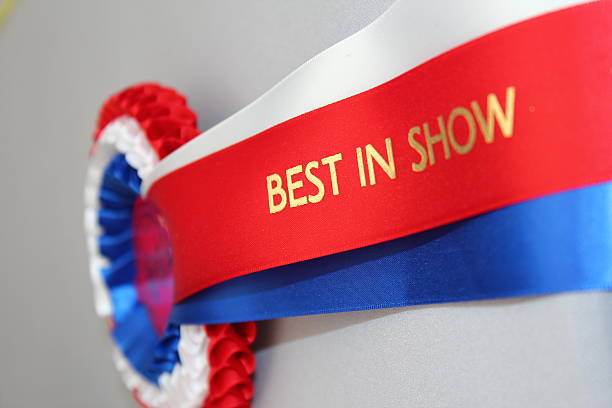 Best In Show Best In Show Rosette, British colours red white and blue traditional winner of best in show award. award ribbon photos stock pictures, royalty-free photos & images