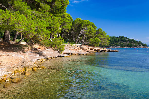 istock Beautiful Majorca sea coast 457384993