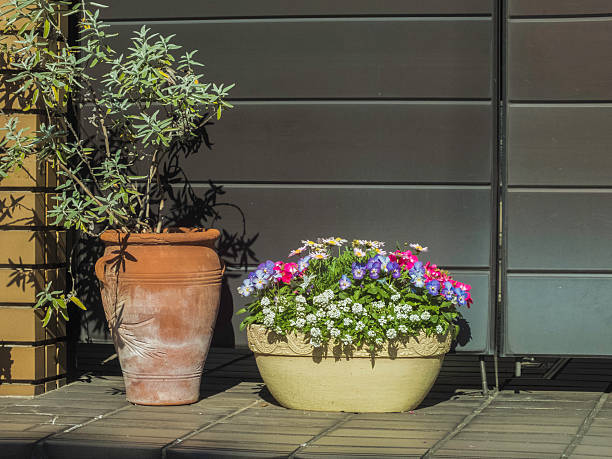 istock colorful flowers on front door in autumn 457388517