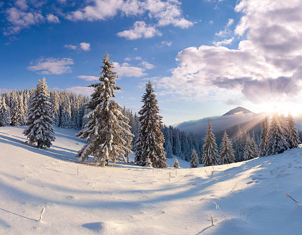 istock Beautiful winter landscape with snow covered trees. 457389573
