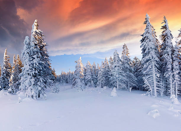 istock Beautiful winter sunrise in the mountains. 457390255