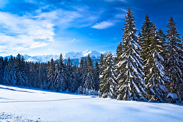 istock Winter in the Tatra Mountains 457394007