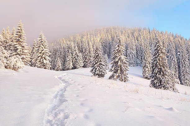 istock .Beautiful winter morning in the mountains 457395303