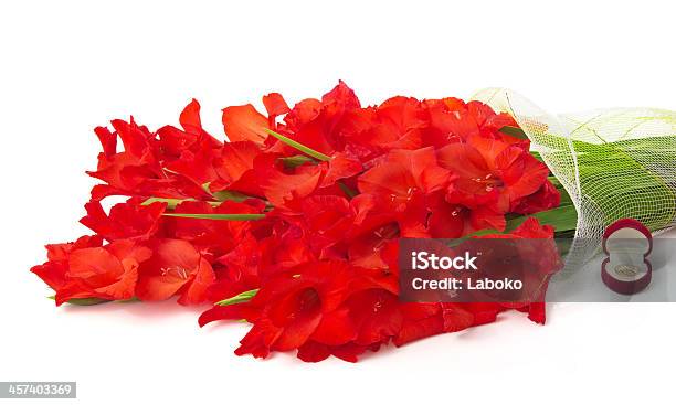 Ramo De Red Gladiolo Anillo De Bodas En Caja Foto de stock y más banco de imágenes de Acontecimiento - Acontecimiento, Alianza - Anillo, Amor - Sentimiento