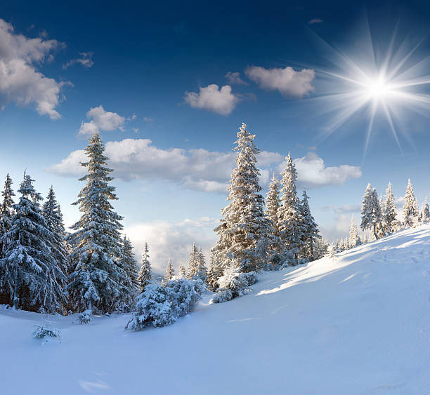 istock Beautiful winter landscape with snow covered trees 457407697