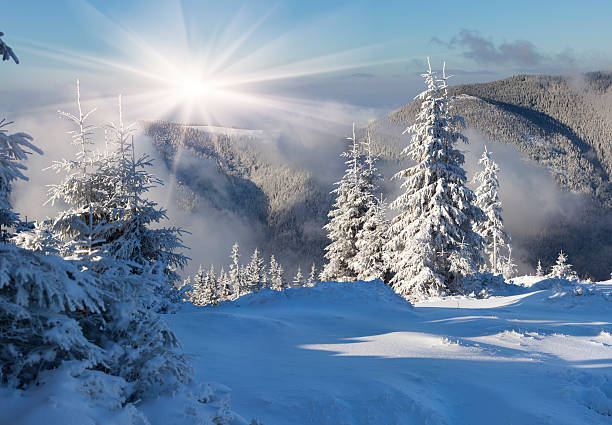 istock Beautiful winter morning in the mountains 457407715