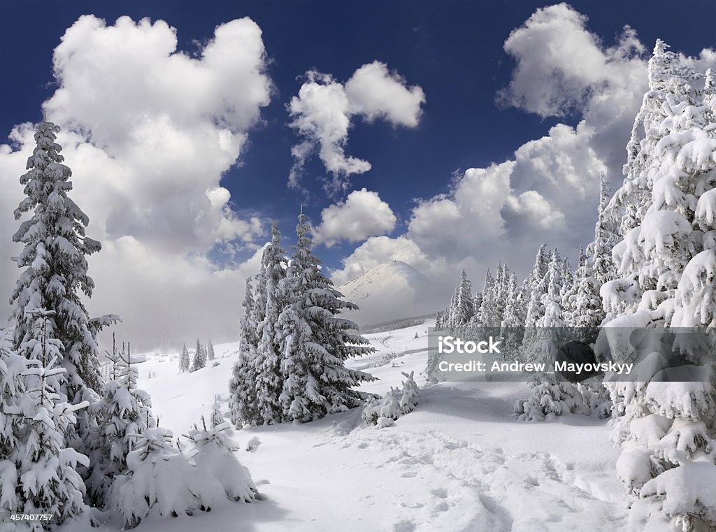 Beautiful winter landscape in the mountains Adventure Stock Photo