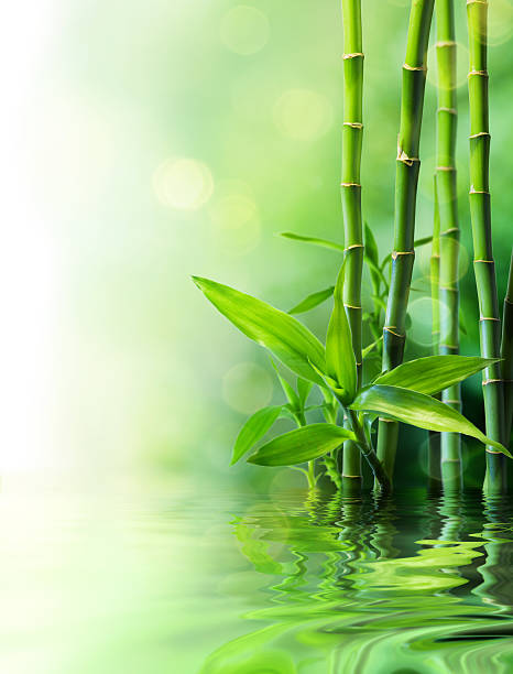 istock growth and vitality concept, vigorous nature 457409339
