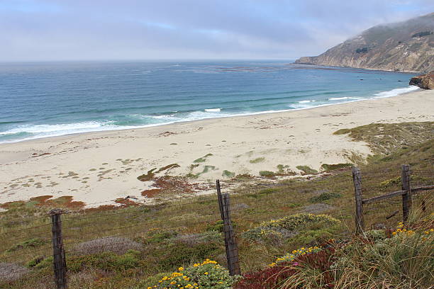 istock California's Pacific Coast 457410601