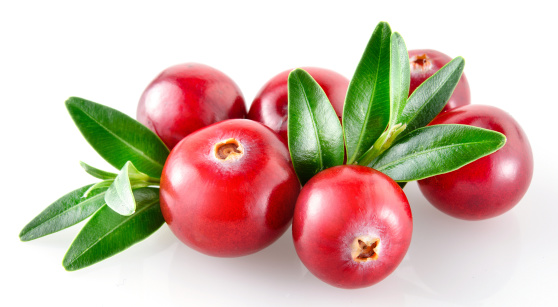 Cranberry on white background