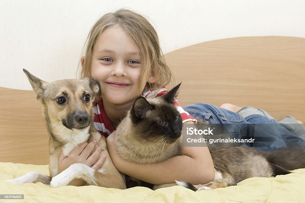 child with pets girl with pets on a bed of yellow color Domestic Cat Stock Photo