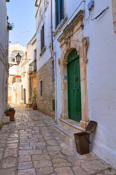 istock Palace horse. Missive chicks. Apulia. Italy. 457419155