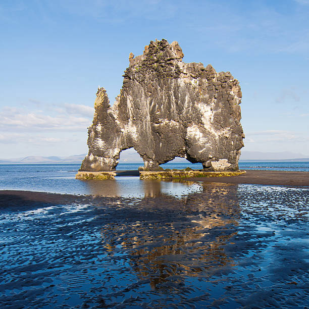 istock Hvitserkur in Vatnsnes 457421645