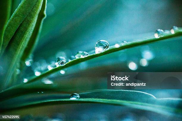 Gotículas De Água Em - Fotografias de stock e mais imagens de Ao Ar Livre - Ao Ar Livre, Beleza natural, Cena de tranquilidade