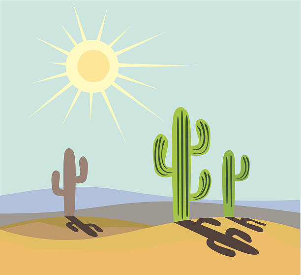 Mexico vector art illustration