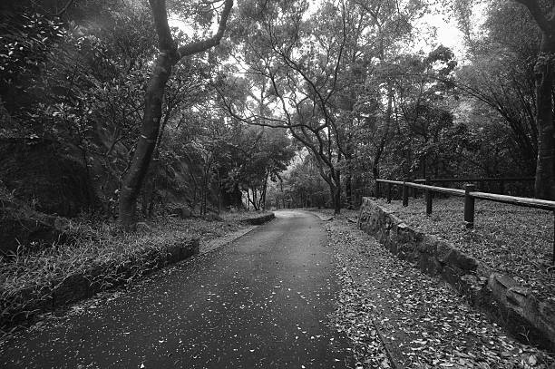istock Tai Tam Reservoir, Hong Kong 457444241