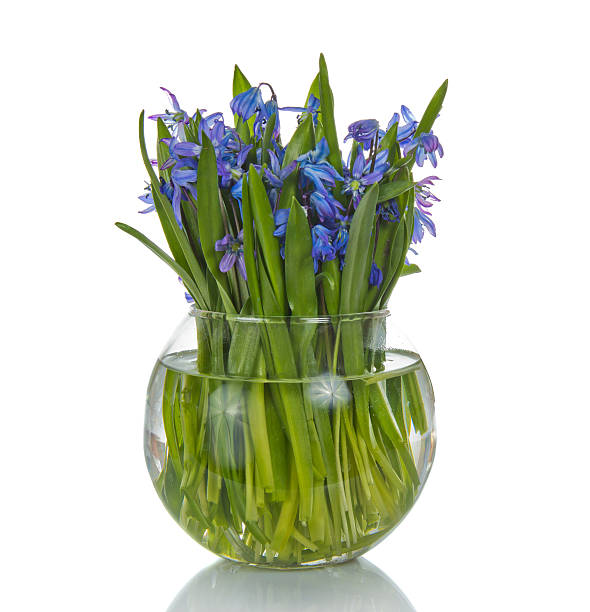 istock Bouquet of spring flowers in vase 457448827