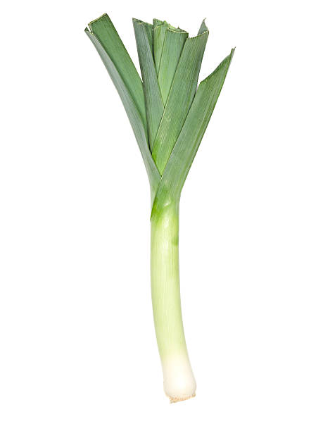 신선한 leeks - leek 뉴스 사진 이미지