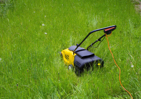A lawn mower in the middle of overgrown grass