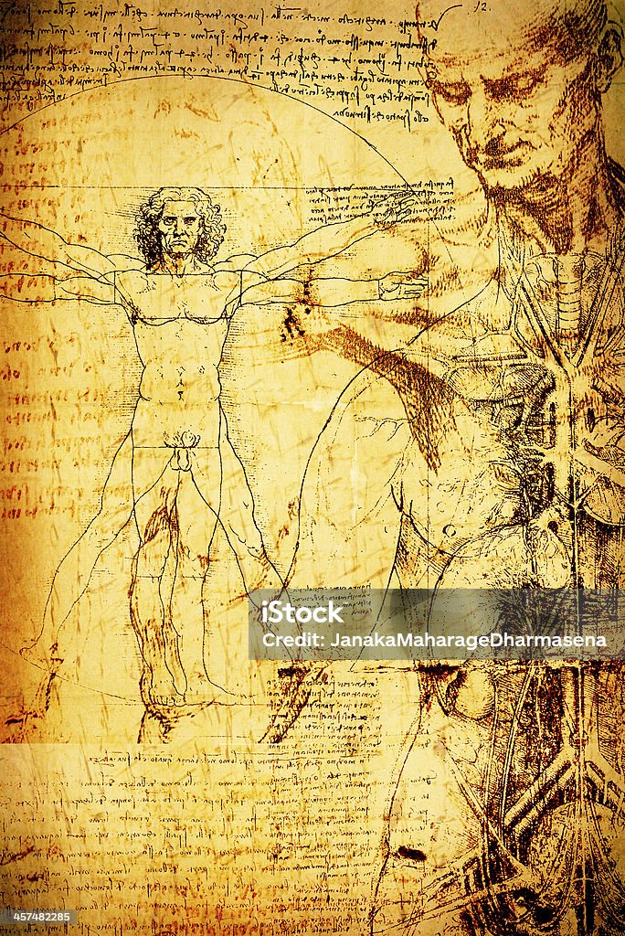 Anatomy Art Stock Illustration - Download Image Now - Leonardo Da Vinci,  Anatomy, Sketch - iStock