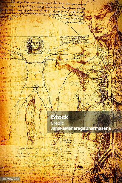 Anatomy Art Stock Illustration - Download Image Now - Leonardo Da.