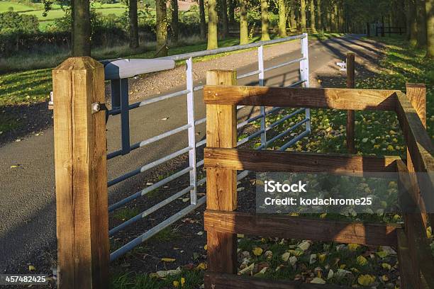 Cancello - Fotografie stock e altre immagini di Accessibilità - Accessibilità, Albero, Ambientazione esterna