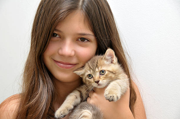 Girl with kitten stock photo