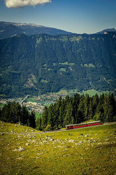 istock Swiss mountain train (Rack Railway) descending to Inerlaken 457491309