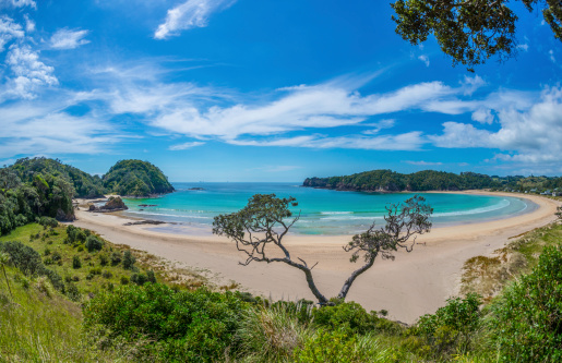 Spectacular golden white sand coastal beach in Northland, New Zealand.