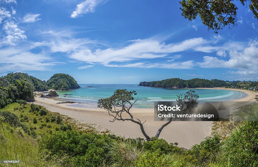 Matapouri Bay, New Zealand Spectacular golden white sand coastal beach in Northland, New Zealand. Beach Stock Photo