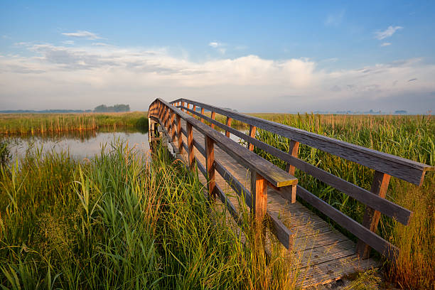 istock wooden bridge for bicycles through river 457505393
