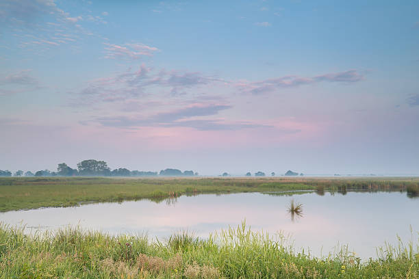 istock pastel summer sunrise over river 457506189