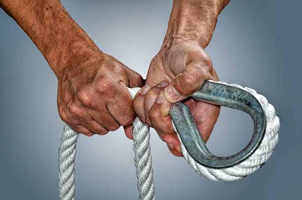 Hands in harbour stock photo