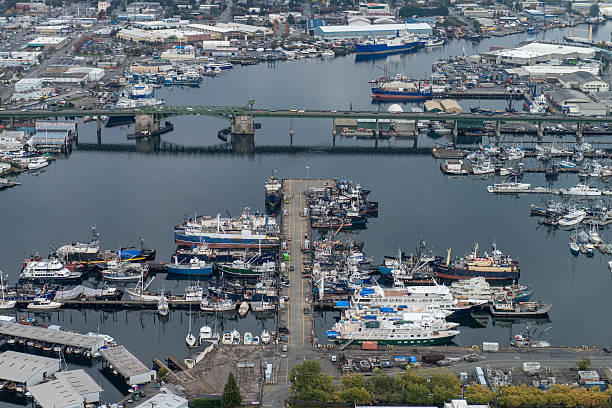 istock Fisherman's terminal aerial view 457510735