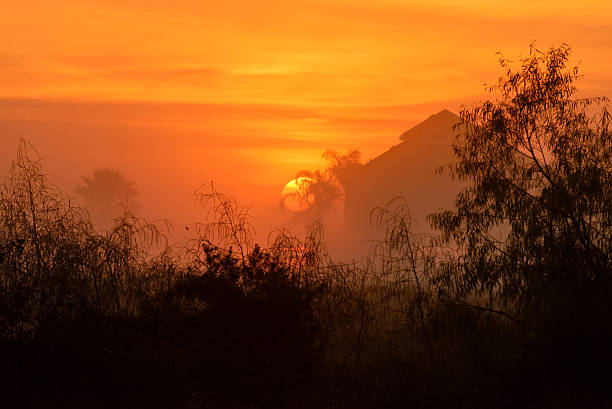 Moody Sunrise stock photo