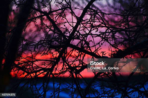 Foto de Crepúsculo Colorido Pôr Do Sol Através De Galhos De Árvore Com Iluminação De Fundo e mais fotos de stock de Azul
