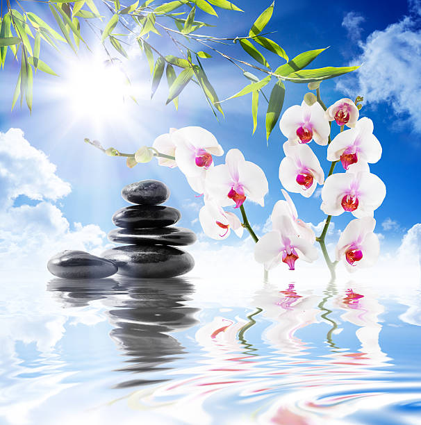 istock thalassotherapy outdoor in pool 457514769