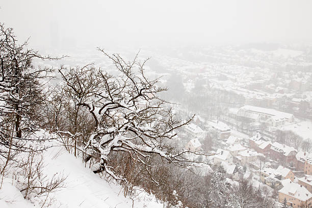 A view from the Saale horizontal over the city Jena on a snowy winter day - Thuringia, Germany