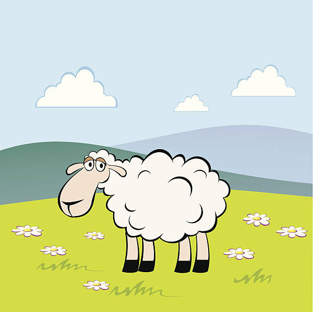 Sheep vector art illustration