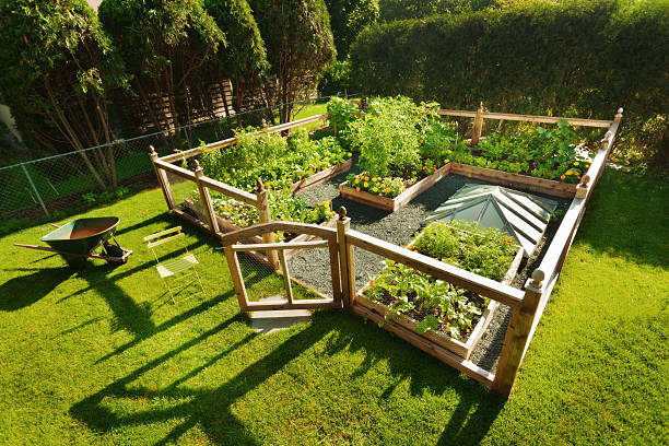 jardín de vegetales y jardín de flores en la zona residencial - garden fence fotografías e imágenes de stock