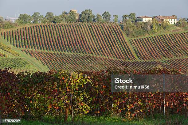 나뭇잎색 In Lambrusco 포도원입니다 모데나 Castelvetro 이탈리어 0명에 대한 스톡 사진 및 기타 이미지 - 0명, Castelvetro Di Modena, 가을