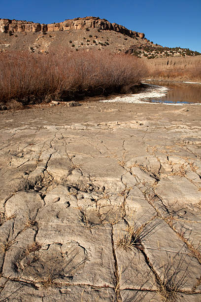 istock River channel Apatosaurus dinosaur footprints Colorado 457520575
