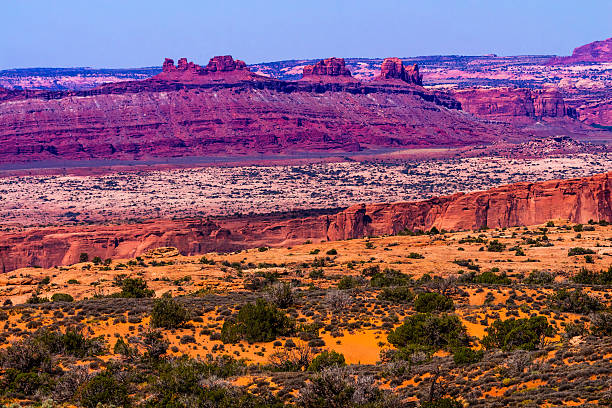 istock Yellow Grass Lands Red Canyon Arches National Park Moab Utah 457526901