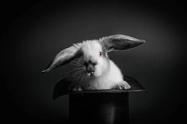 Gray and white rabbit and an old-styled silk hat.