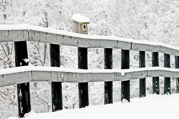 istock Bird House On a Snowy Fence 457542339