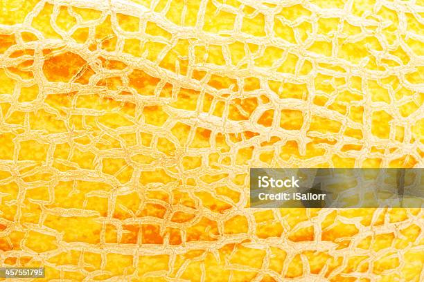 Melon Stock Photo - Download Image Now - Backgrounds, Cantaloupe, Dessert - Sweet Food